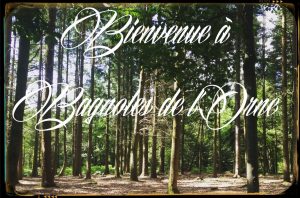 Forêt Domaniale Bagnoles de l'orne