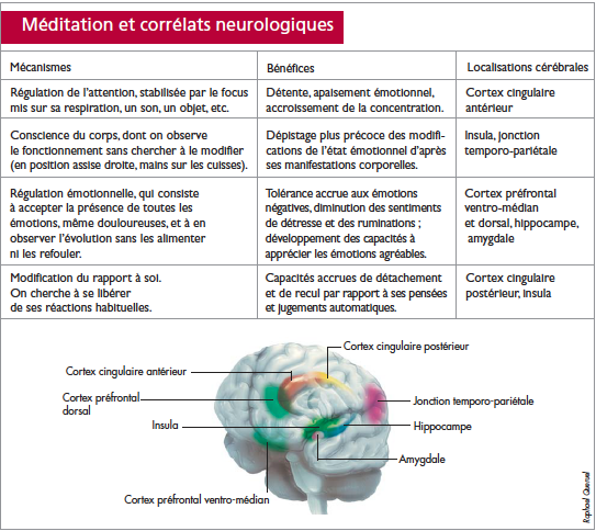 Méditation et corrélats neurologiques