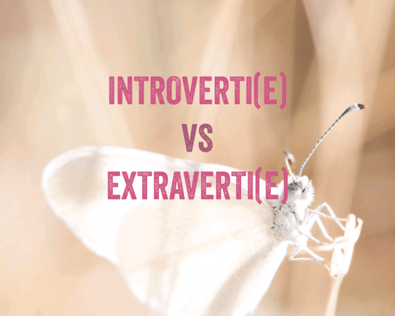 Introverti ou extraverti ? [Infographie]