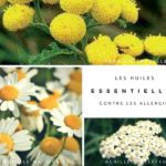 Huiles essentielles et allergies