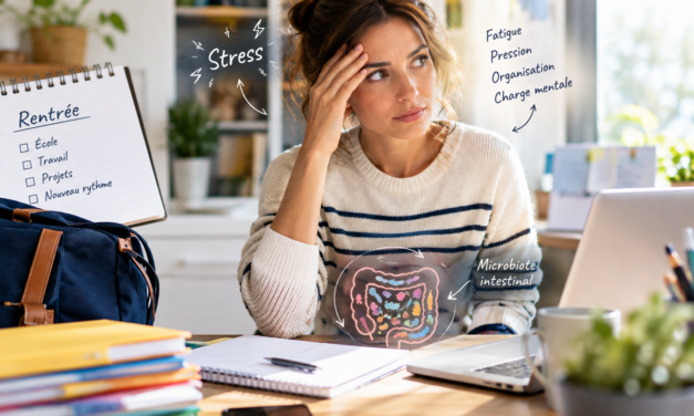 Et si votre ventre avait son mot à dire sur votre stress ? Ce que la science découvre sur l&rsquo;axe intestin-cerveau